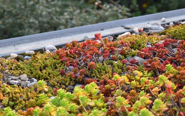 the cost of Atterton green roof installation