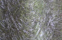 Atterton fibreglass roof work